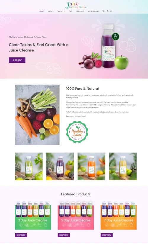 Web Design Portfolio Example